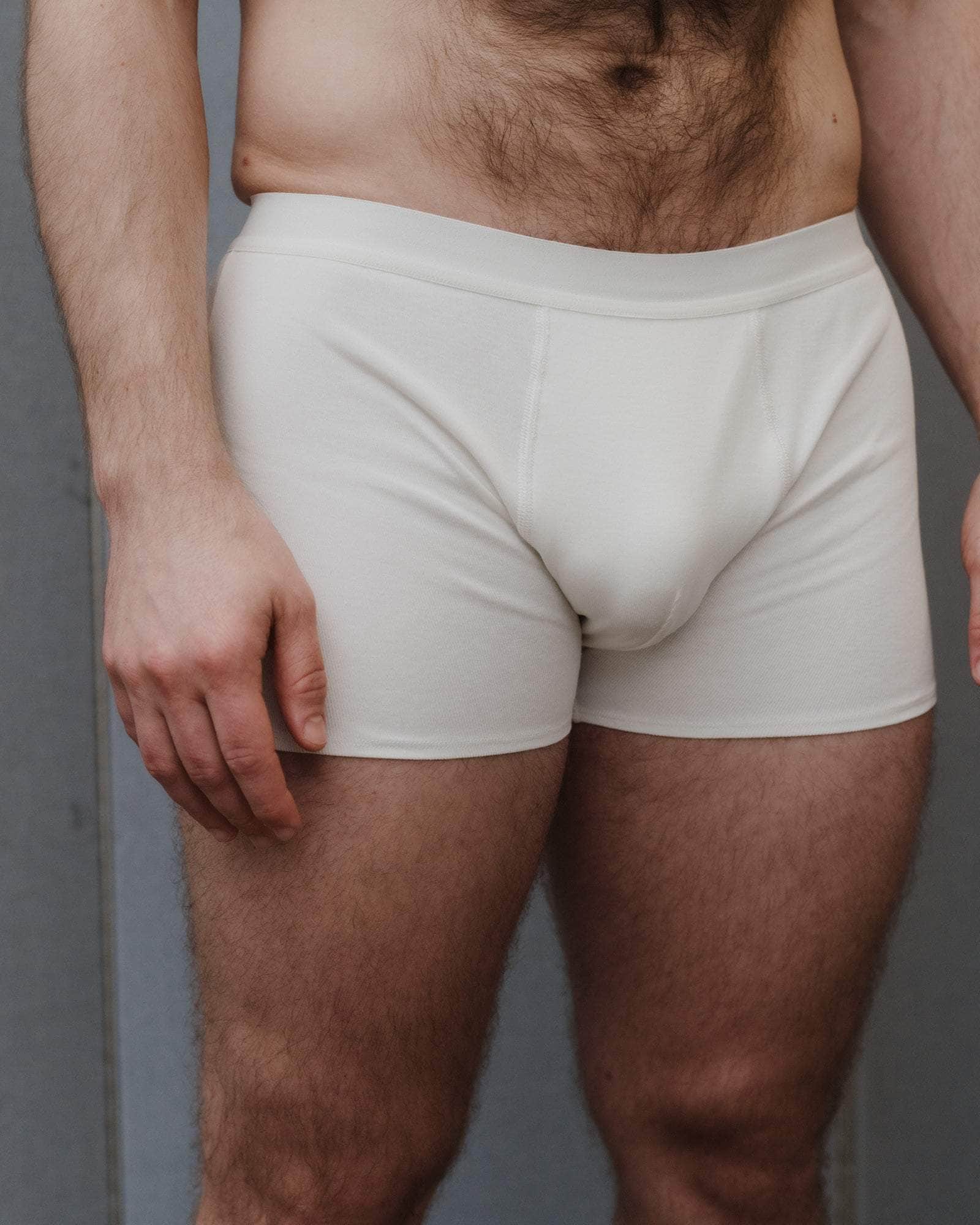 Briar Boxer - Image 3